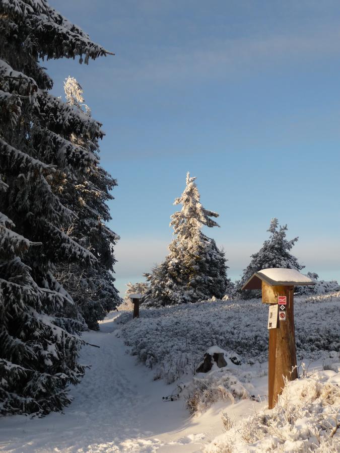 Berghotel Hoher Knochen Winterberg Esterno foto